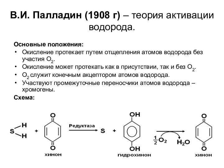 В.И. Палладин (1908 г) – теория активации водорода. Основные положения: Окисление