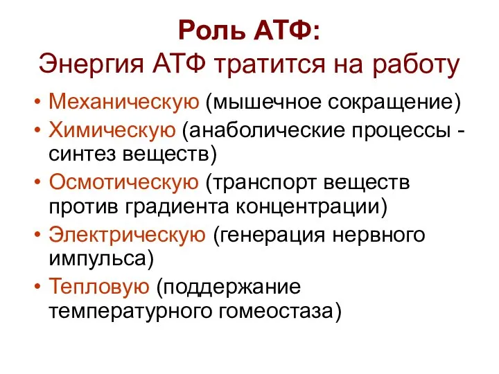 Роль АТФ: Энергия АТФ тратится на работу Механическую (мышечное сокращение) Химическую