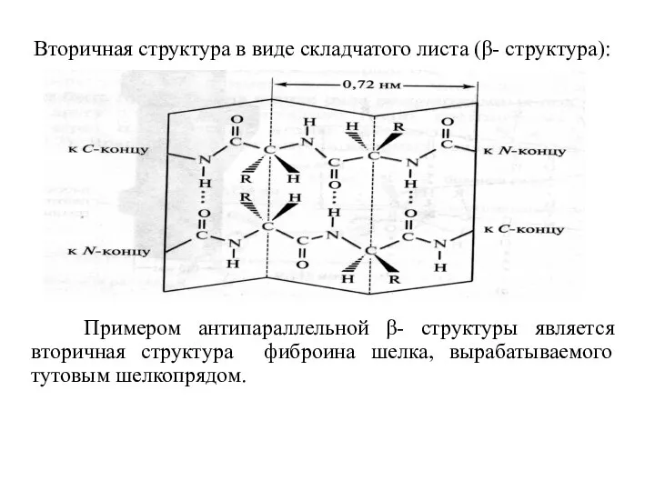 Вторичная структура в виде складчатого листа (β- структура): Примером антипараллельной β-