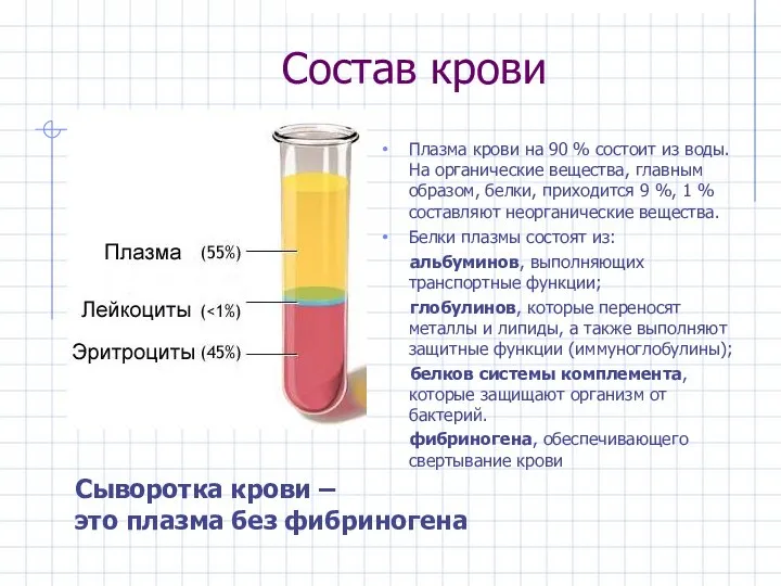 Состав крови Плазма крови на 90 % состоит из воды. На