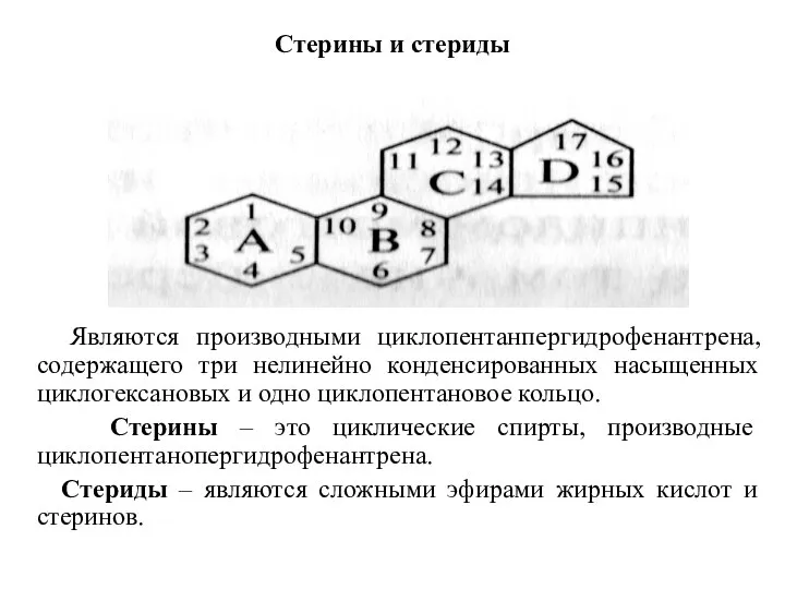 Стерины и стериды Являются производными циклопентанпергидрофенантрена, содержащего три нелинейно конденсированных насыщенных