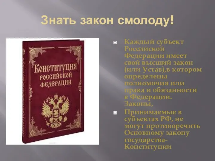 Знать закон смолоду! Каждый субъект Российской Федерации имеет свой высший закон