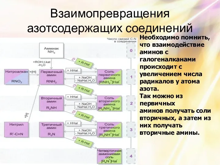 Взаимопревращения азотсодержащих соединений Необходимо помнить, что взаимодействие аминов с галогеналканами происходит