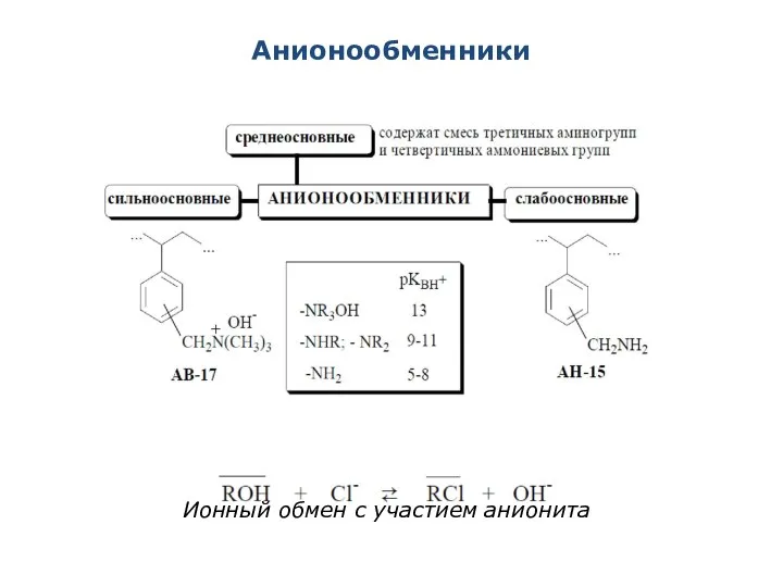 Анионообменники Ионный обмен с участием анионита