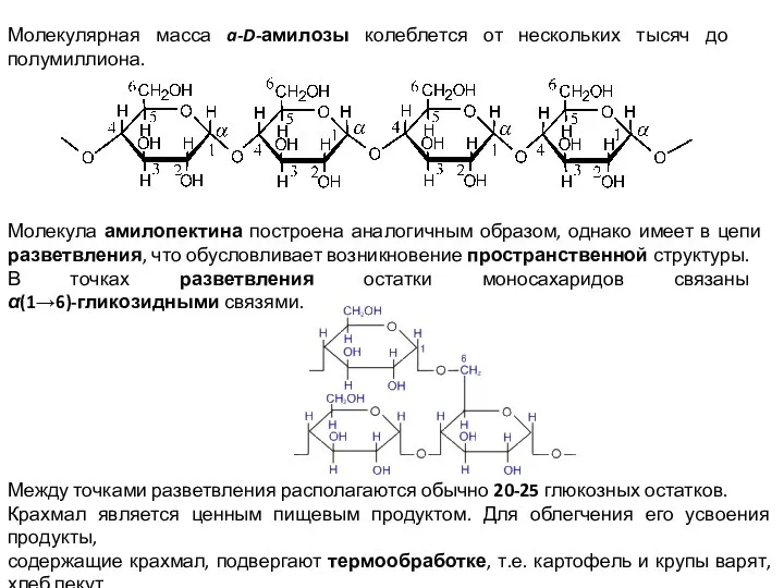 Молекулярная масса a-D-амилозы колеблется от нескольких тысяч до полумиллиона. Молекула амилопектина