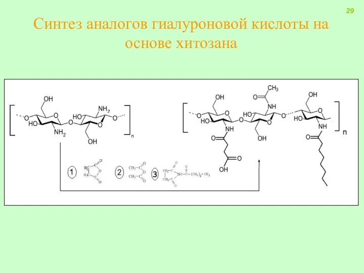 Синтез аналогов гиалуроновой кислоты на основе хитозана 29