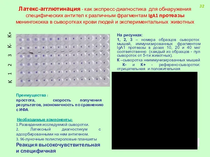 На рисунках: 1, 2, 3 – номера образцов сывороток мышей, иммунизированных