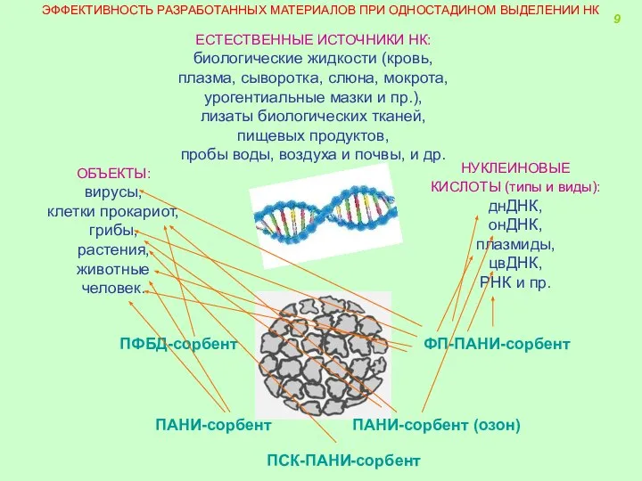 ЕСТЕСТВЕННЫЕ ИСТОЧНИКИ НК: биологические жидкости (кровь, плазма, сыворотка, слюна, мокрота, урогентиальные