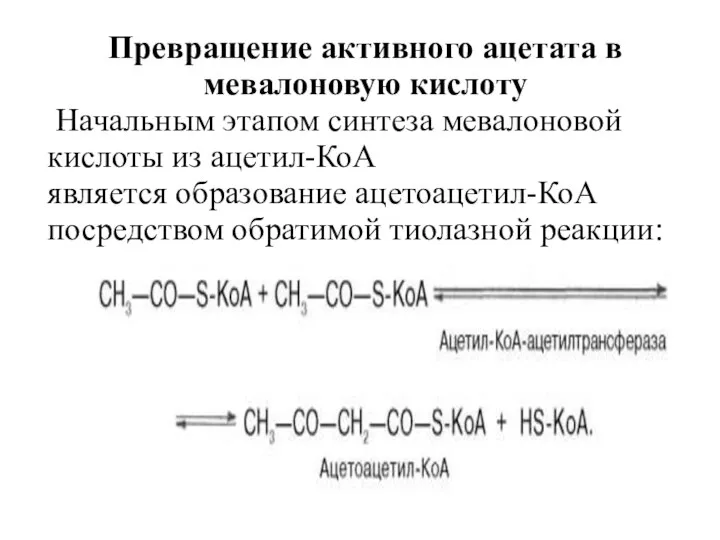 Превращение активного ацетата в мевалоновую кислоту Начальным этапом синтеза мевалоновой кислоты