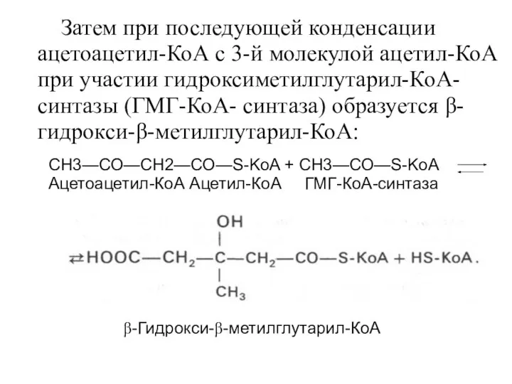 Затем при последующей конденсации ацетоацетил-КоА с 3-й молекулой ацетил-КоА при участии