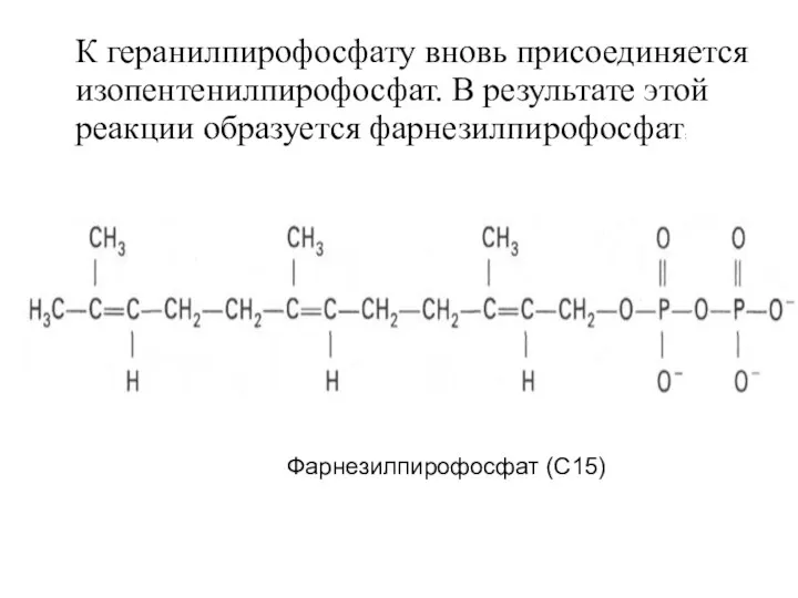 К геранилпирофосфату вновь присоединяется изопентенилпирофосфат. В результате этой реакции образуется фарнезилпирофосфат: Фарнезилпирофосфат (С15)