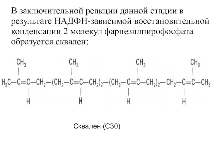 В заключительной реакции данной стадии в результате НАДФН-зависимой восстановительной конденсации 2