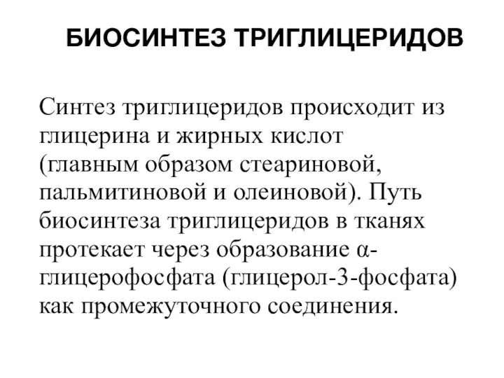 БИОСИНТЕЗ ТРИГЛИЦЕРИДОВ Синтез триглицеридов происходит из глицерина и жирных кислот (главным