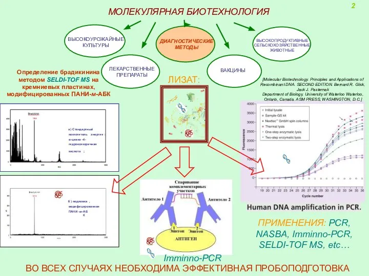 [Molecular Biotechnology. Principles and Applications of Recombinant DNA. SECOND EDITION. Bernard