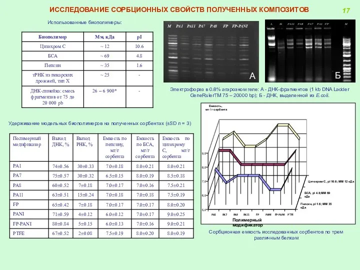 Использованные биополимеры: Удерживание модельных биополимеров на полученных сорбентах (±SD n =