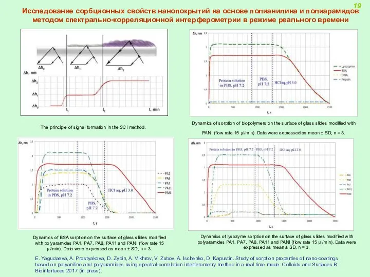 Dynamics of sorption of biopolymers on the surface of glass slides