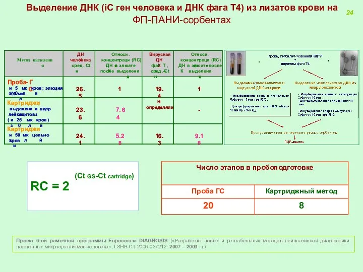 Выделение ДНК (iC ген человека и ДНК фага Т4) из лизатов