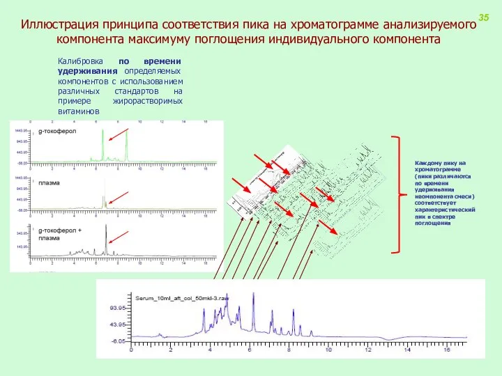 Иллюстрация принципа соответствия пика на хроматограмме анализируемого компонента максимуму поглощения индивидуального