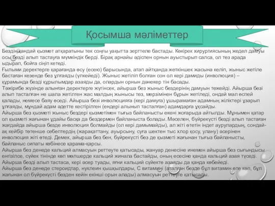 Бездің қандай қызмет атқаратыны тек соңғы уақытта зерттеле бастады. Көкірек хирургиясының