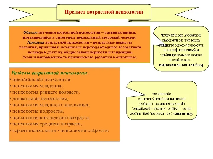 Предмет возрастной психологии Объект изучения возрастной психологии – развивающийся, изменяющийся в