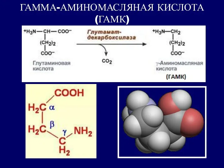 ГАММА-АМИНОМАСЛЯНАЯ КИСЛОТА (ГАМК)