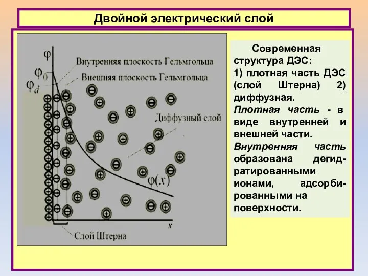 Двойной электрический слой Современная структура ДЭС: 1) плотная часть ДЭС (слой