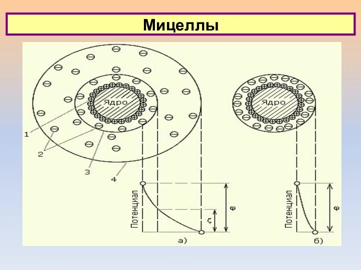 Мицеллы