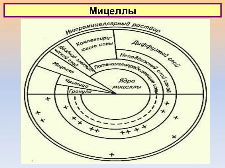 Мицеллы