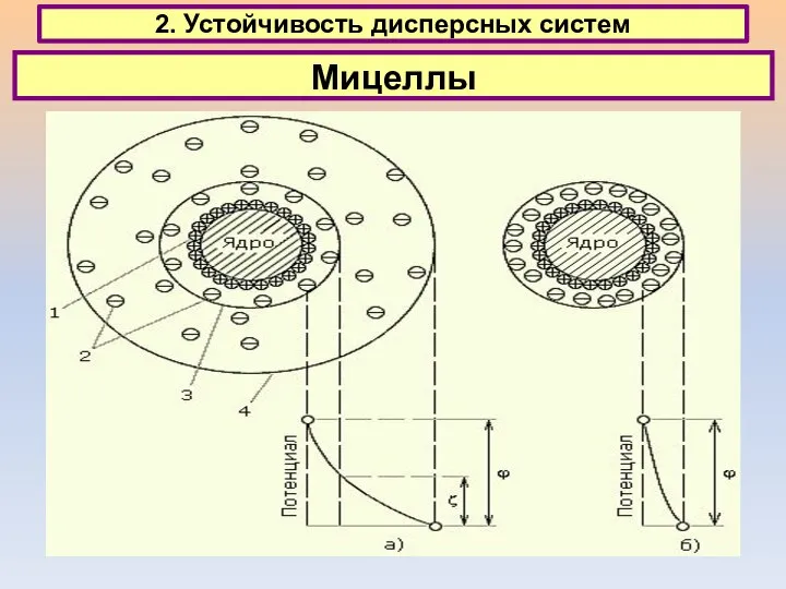 2. Устойчивость дисперсных систем Мицеллы