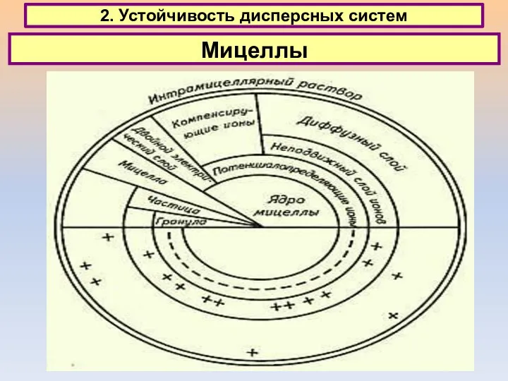 2. Устойчивость дисперсных систем Мицеллы