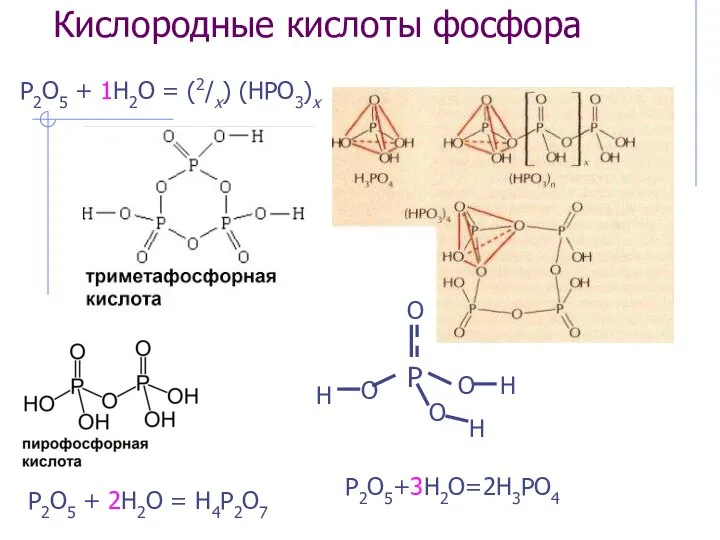 Кислородные кислоты фосфора P2O5+3H2O=2H3PO4 P2O5 + 1H2O = (2/x) (HPO3)x P2O5 + 2H2O = H4P2O7