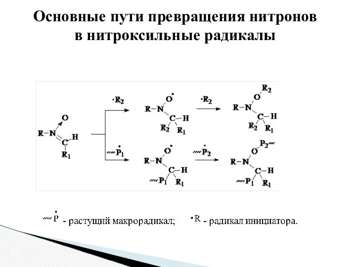 Основные пути превращения нитронов в нитроксильные радикалы 22