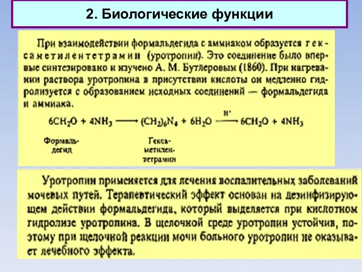 2. Биологические функции