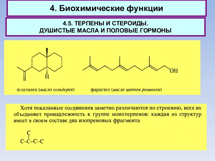 4. Биохимические функции 4.5. ТЕРПЕНЫ И СТЕРОИДЫ. ДУШИСТЫЕ МАСЛА И ПОЛОВЫЕ ГОРМОНЫ