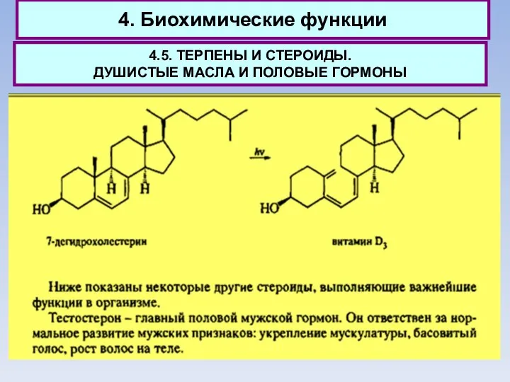 4. Биохимические функции 4.5. ТЕРПЕНЫ И СТЕРОИДЫ. ДУШИСТЫЕ МАСЛА И ПОЛОВЫЕ ГОРМОНЫ