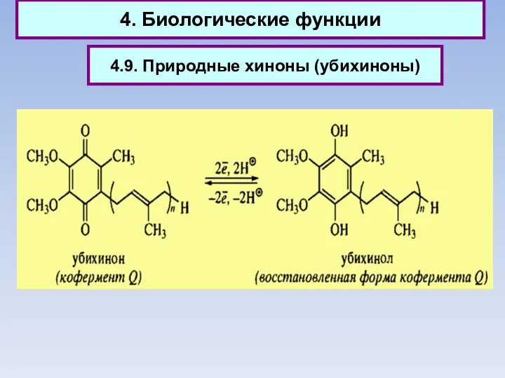 4. Биологические функции 4.9. Природные хиноны (убихиноны)