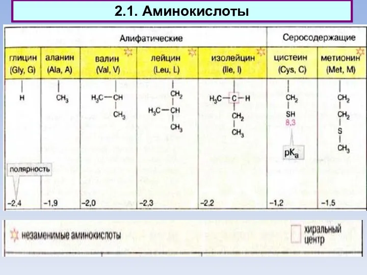 2.1. Аминокислоты