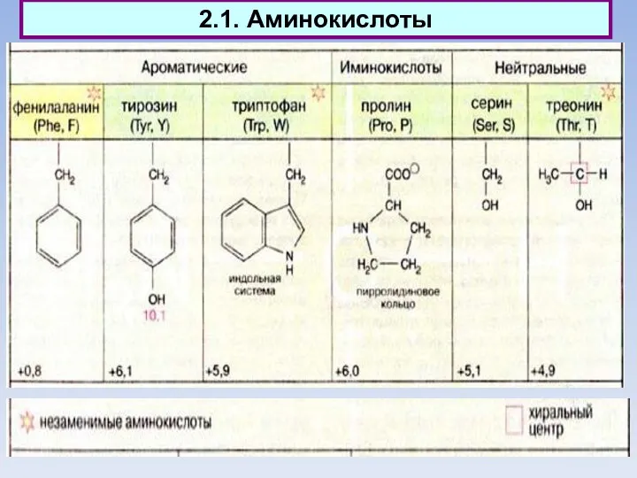 2.1. Аминокислоты