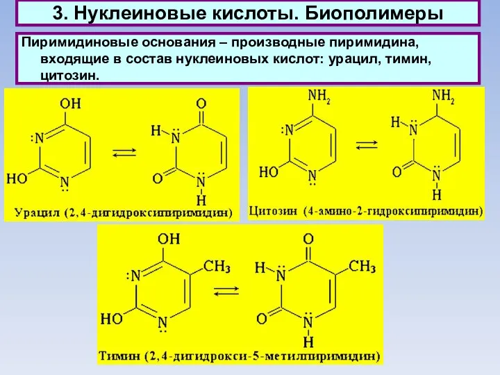 3. Нуклеиновые кислоты. Биополимеры Пиримидиновые основания – производные пиримидина, входящие в