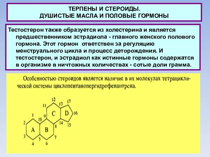 ТЕРПЕНЫ И СТЕРОИДЫ. ДУШИСТЫЕ МАСЛА И ПОЛОВЫЕ ГОРМОНЫ Тестостерон также образуется