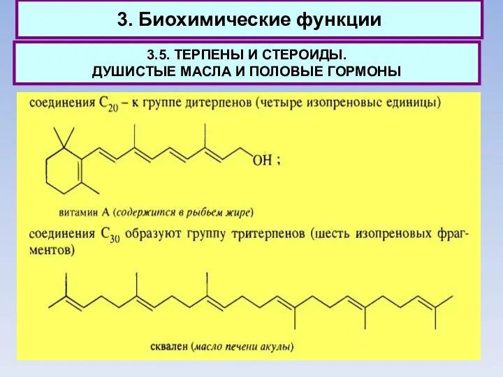 3. Биохимические функции 3.5. ТЕРПЕНЫ И СТЕРОИДЫ. ДУШИСТЫЕ МАСЛА И ПОЛОВЫЕ ГОРМОНЫ