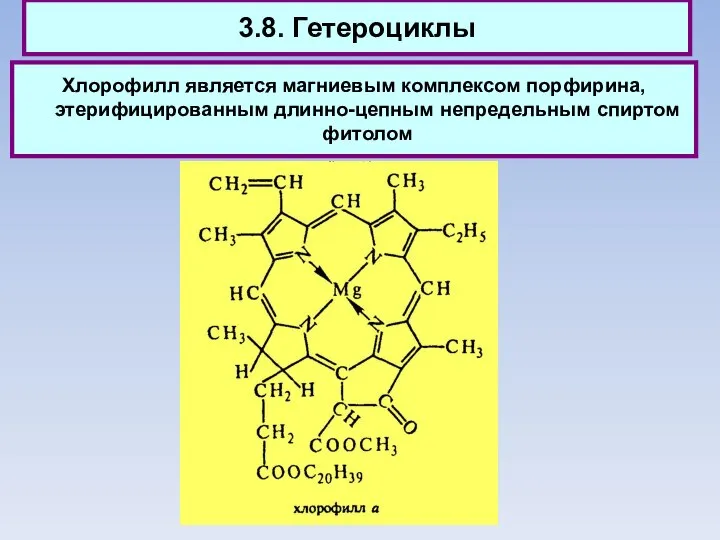 3.8. Гетероциклы Хлорофилл является магниевым комплексом порфирина, этерифицированным длинно-цепным непредельным спиртом фитолом