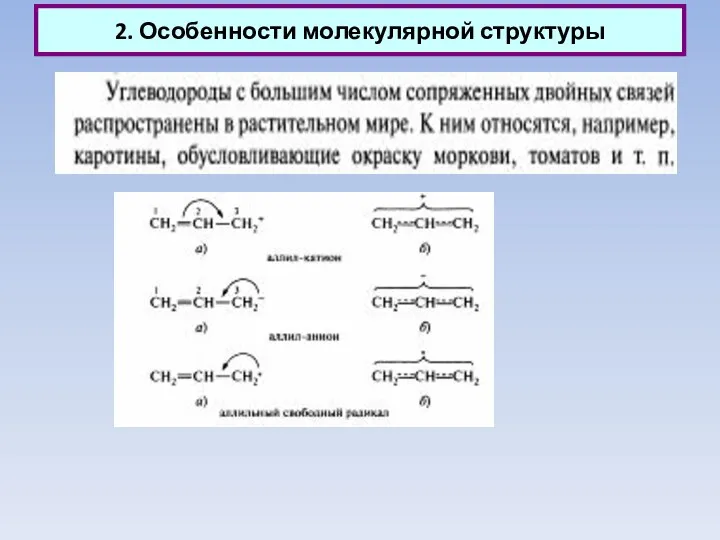 2. Особенности молекулярной структуры