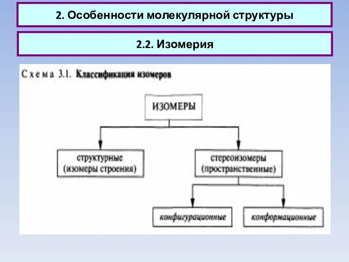 2.2. Изомерия 2. Особенности молекулярной структуры