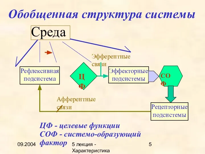 09.2004 5 лекция - Характеристика описаний Рефлексивная подсистема Эффекторные подсистемы СОФ