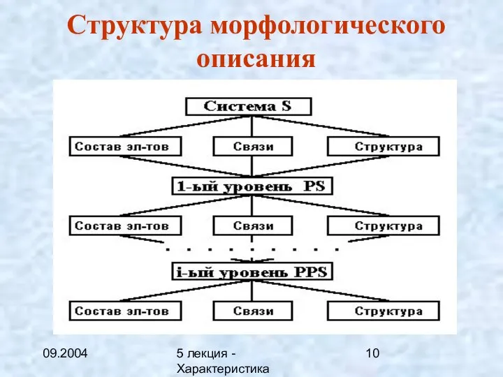 09.2004 5 лекция - Характеристика описаний Структура морфологического описания