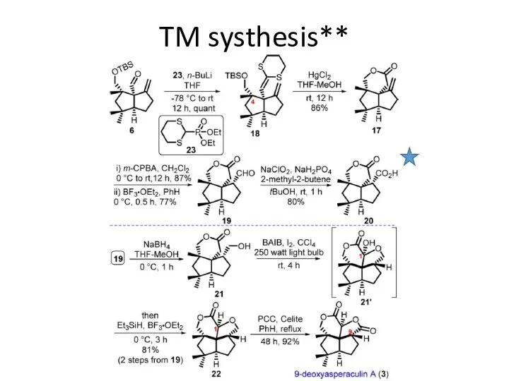 TM systhesis**