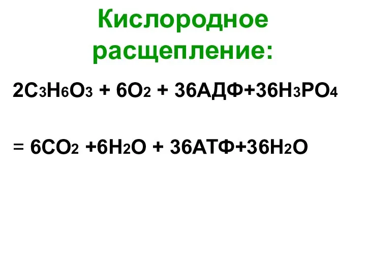 Кислородное расщепление: 2С3Н6О3 + 6О2 + 36АДФ+36Н3РО4 = 6СО2 +6Н2О + 36АТФ+36H2О