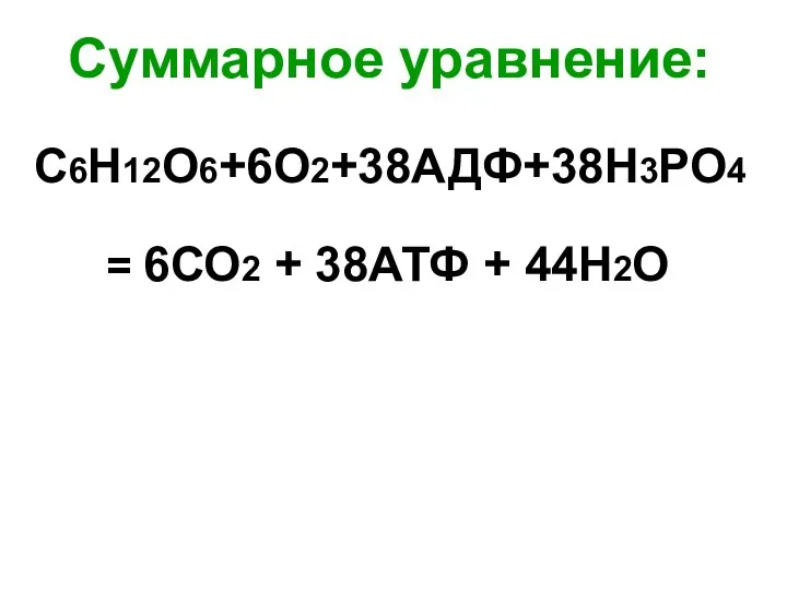 Суммарное уравнение: С6Н12О6+6О2+38АДФ+38Н3РО4 = 6СО2 + 38АТФ + 44Н2О