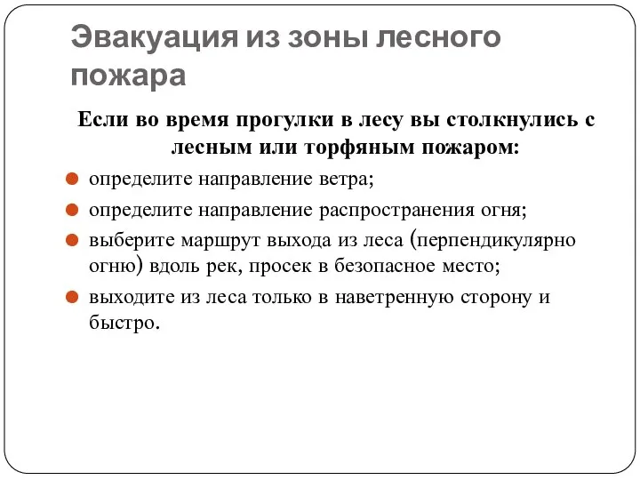 Эвакуация из зоны лесного пожара Если во время прогулки в лесу